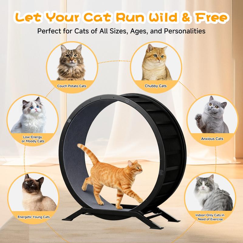 PawMotion™ 40" Cat Exercise Wheel