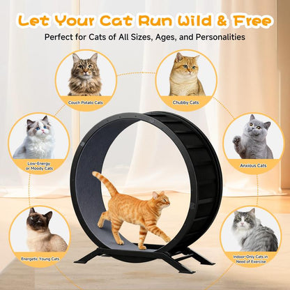 PawMotion™ 40" Cat Exercise Wheel