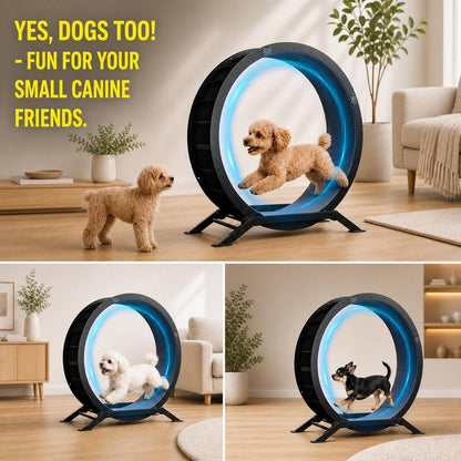 PawMotion™ 40" Cat Exercise Wheel