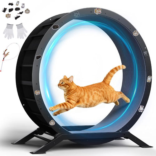 PawMotion™ 40" Cat Exercise Wheel