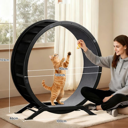 PawMotion™ 40" Cat Exercise Wheel